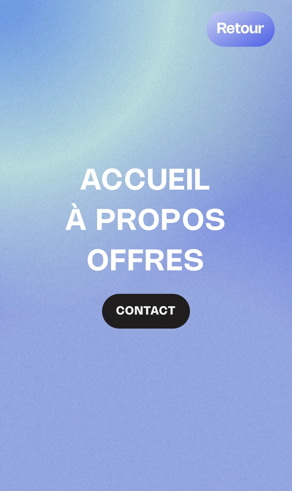 a screenshot of the responsive of my works